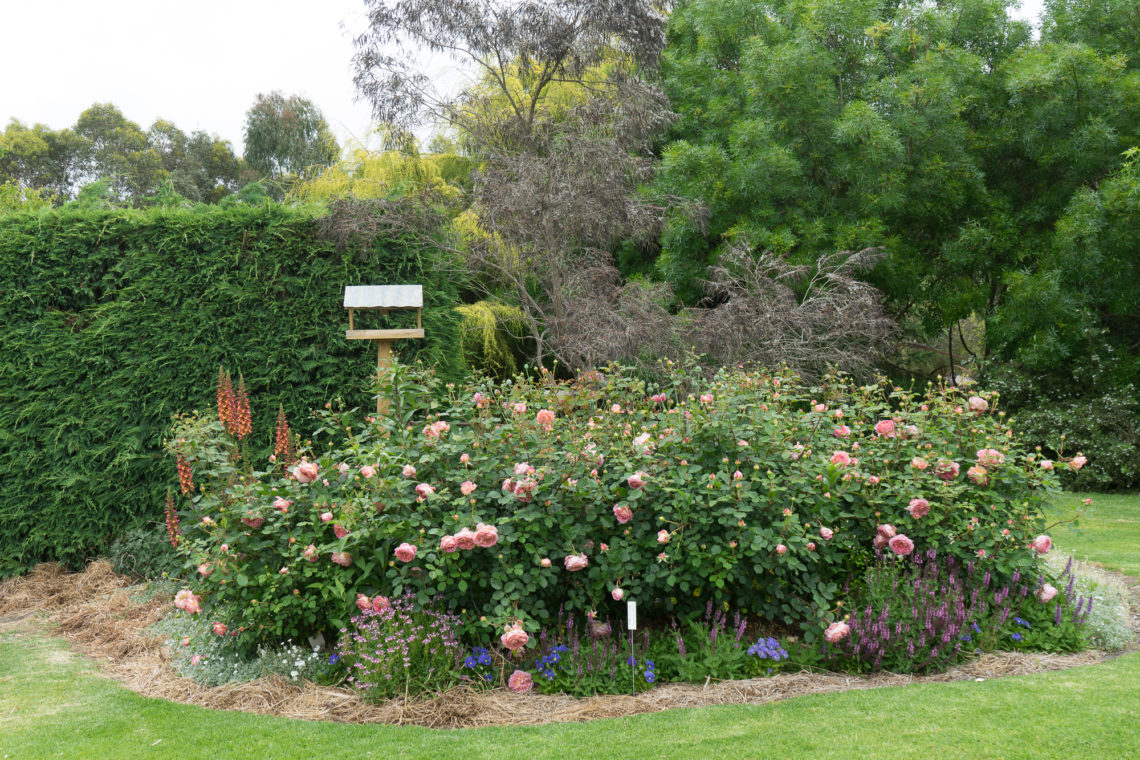 Gardens Birchwood Gardens